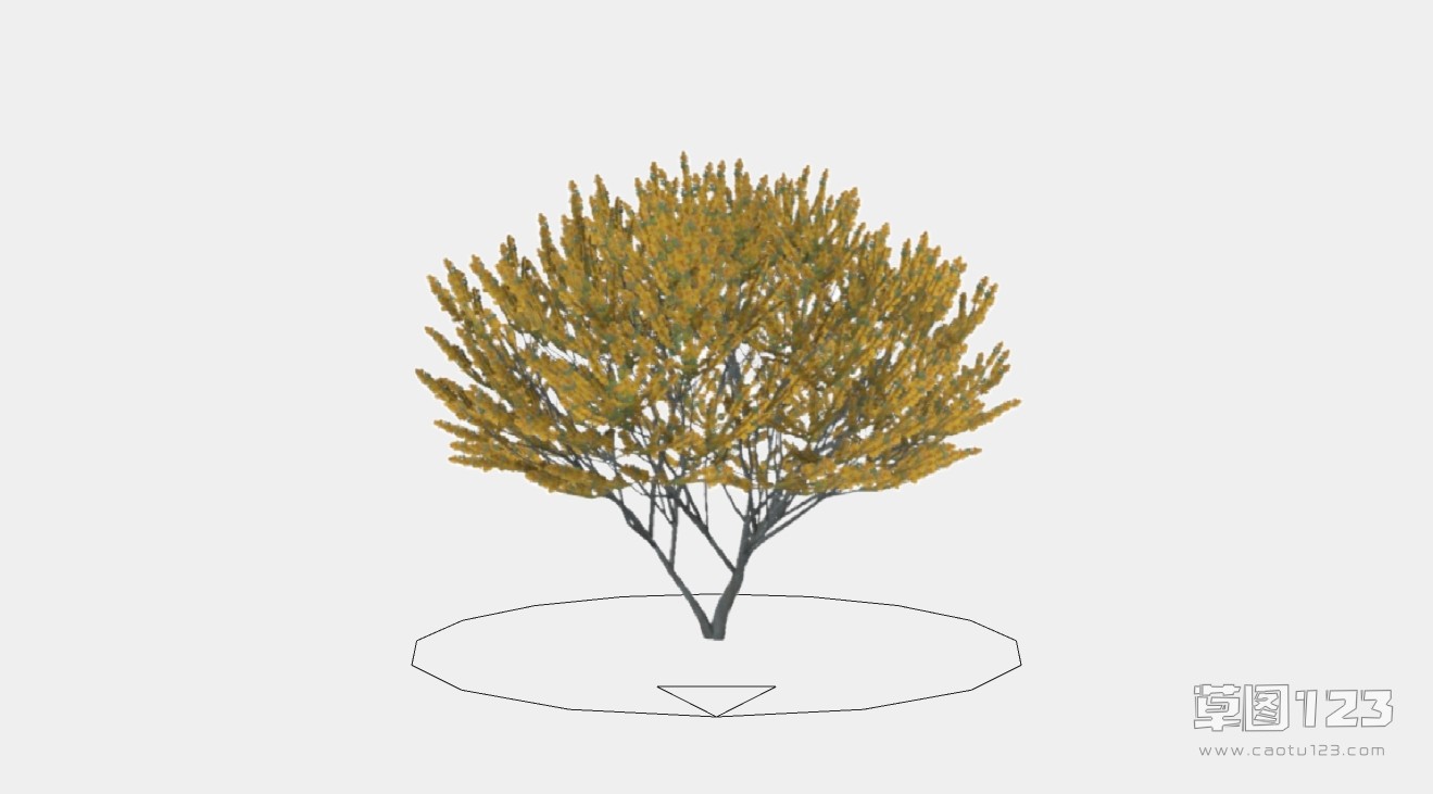 2D灌木su模型2D树5_200621101520062110162006211016.jpg(1)