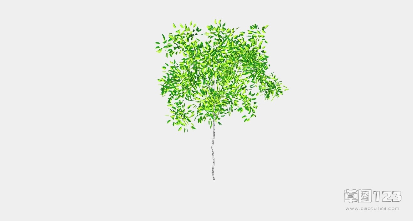 2D绿化带树su模型2D树18_200621101520062110162006211016.jpg(1)