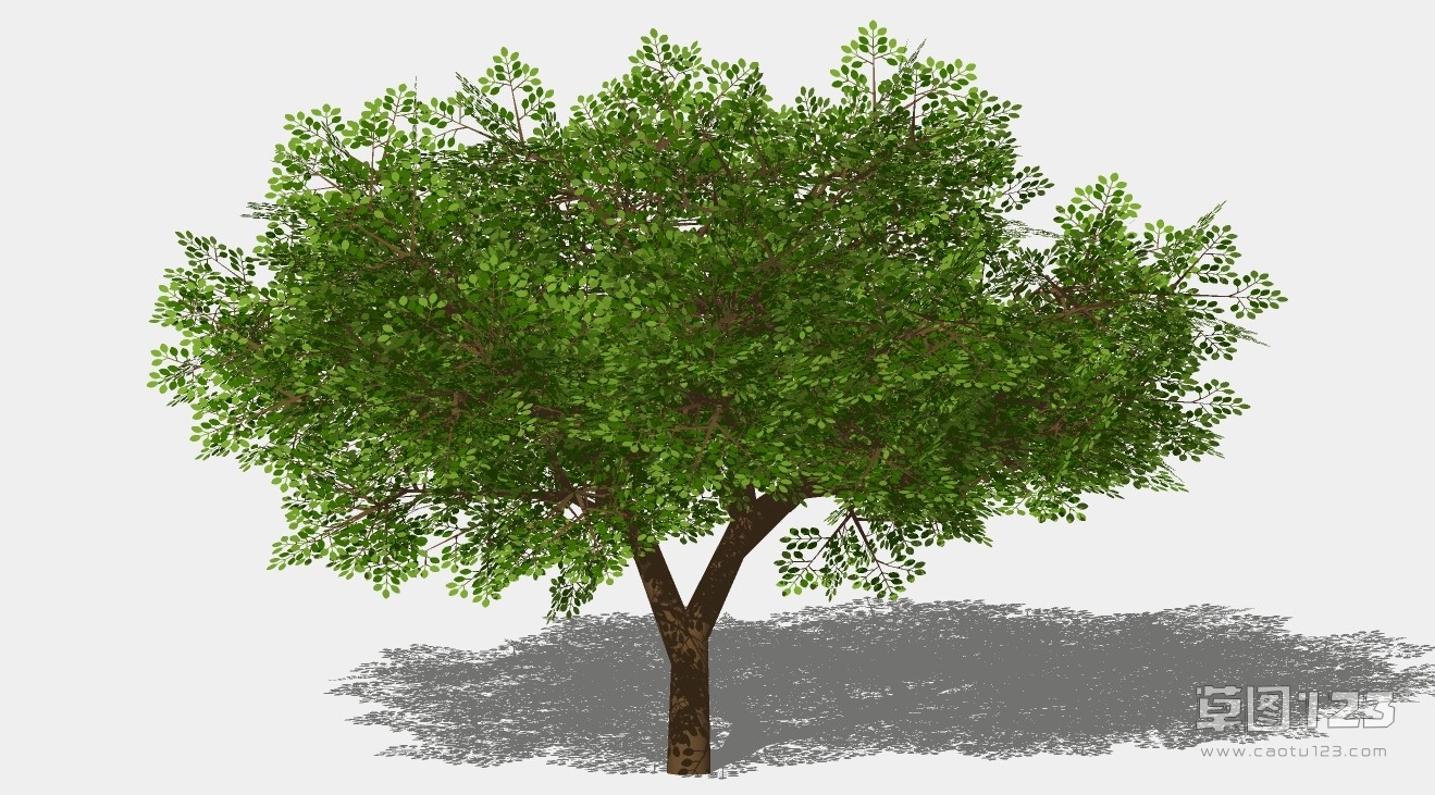 橡树su模型3D树 (45).jpg(1)