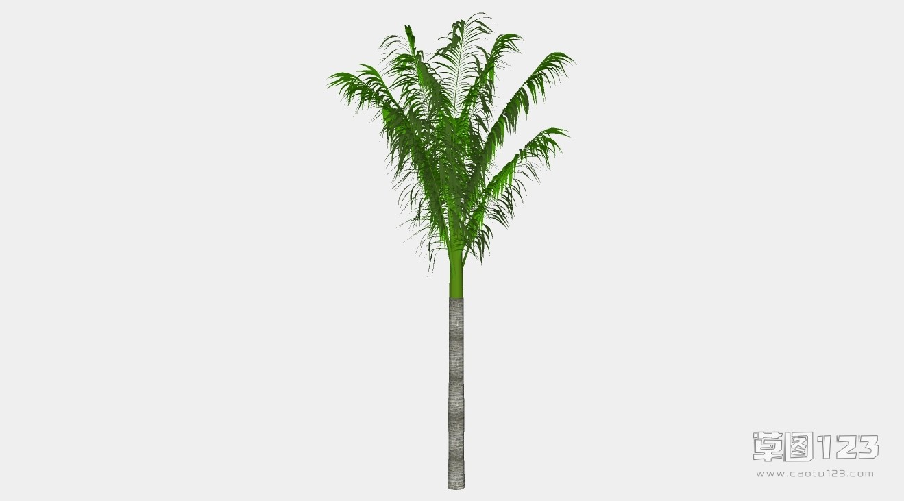 棕榈su模型3D树 (68).jpg(1)