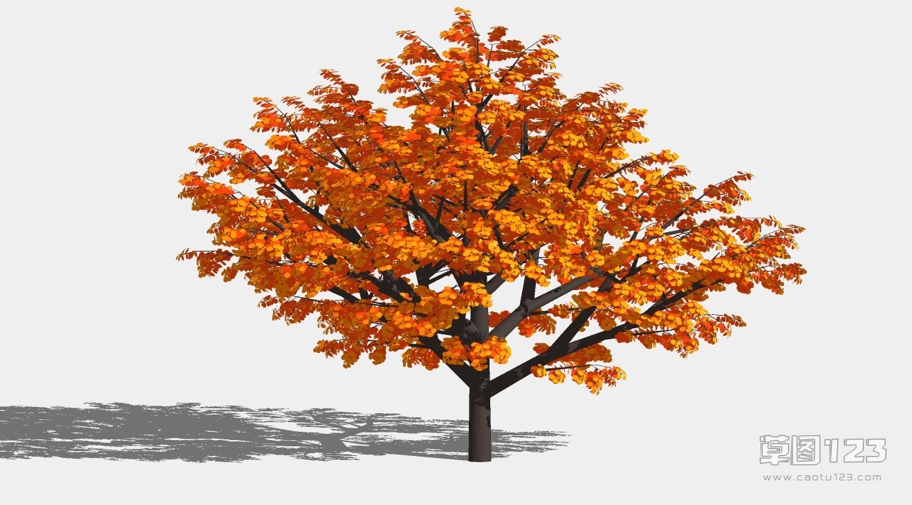 红枫树su模型3D树 (34).jpg(1)