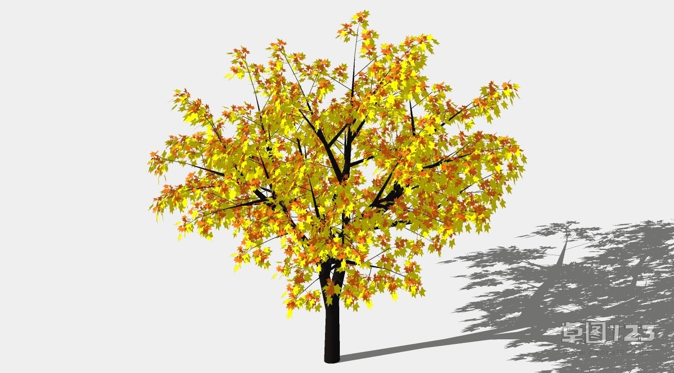 黄红色梧桐树su模型3D树 (85).jpg(1)