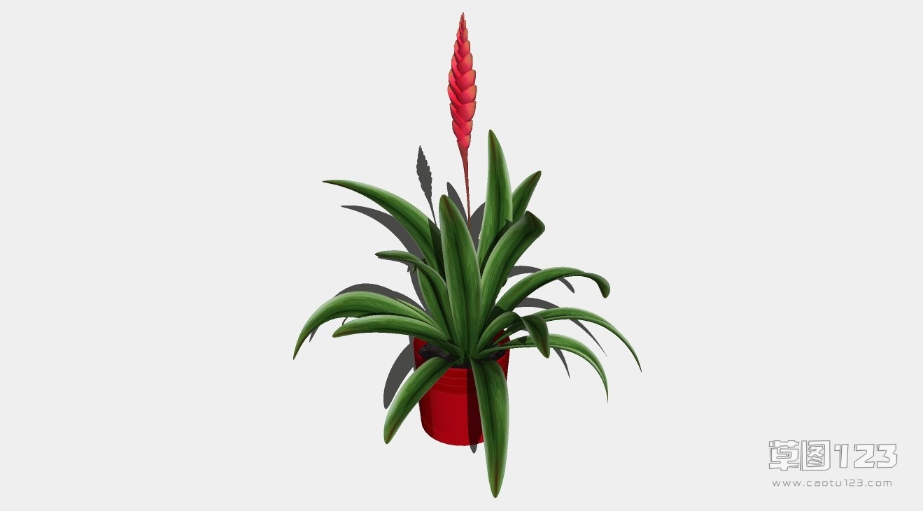 红色菠萝花su模型3D树 (109).jpg(1)