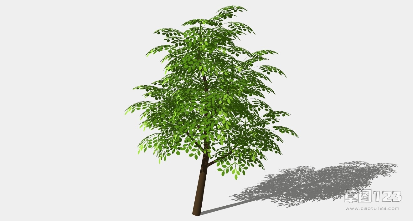 菜豆树su模型3D树 (98).jpg(1)