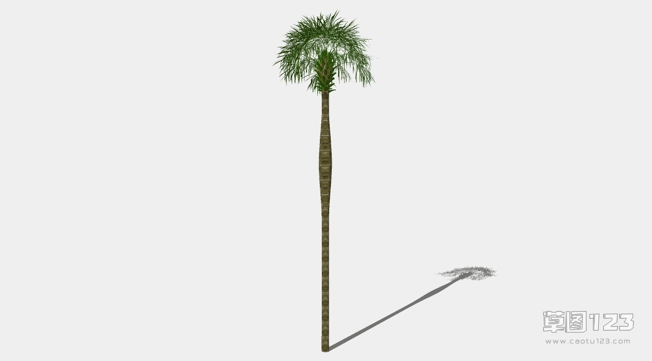 棕榈树su模型3D树 (63).jpg(1)
