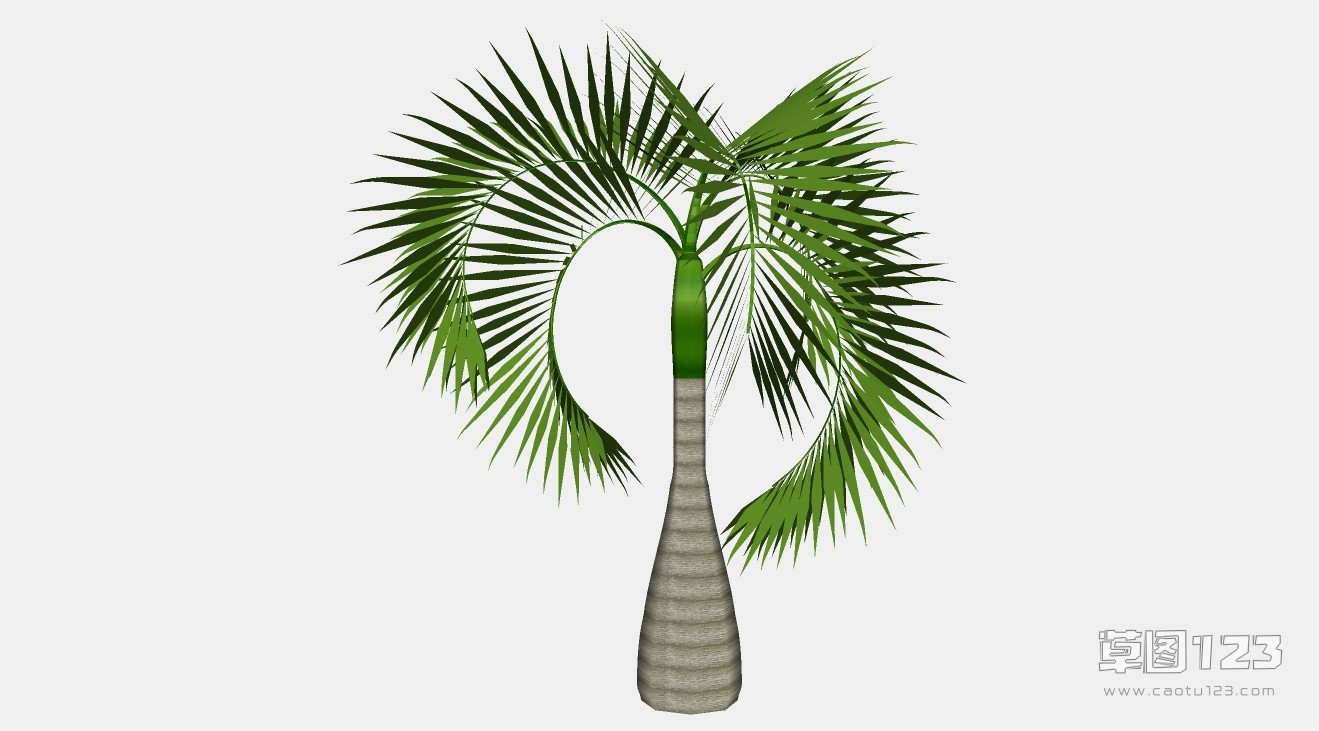 酒瓶椰子树su模型3D树 (57).jpg(1)