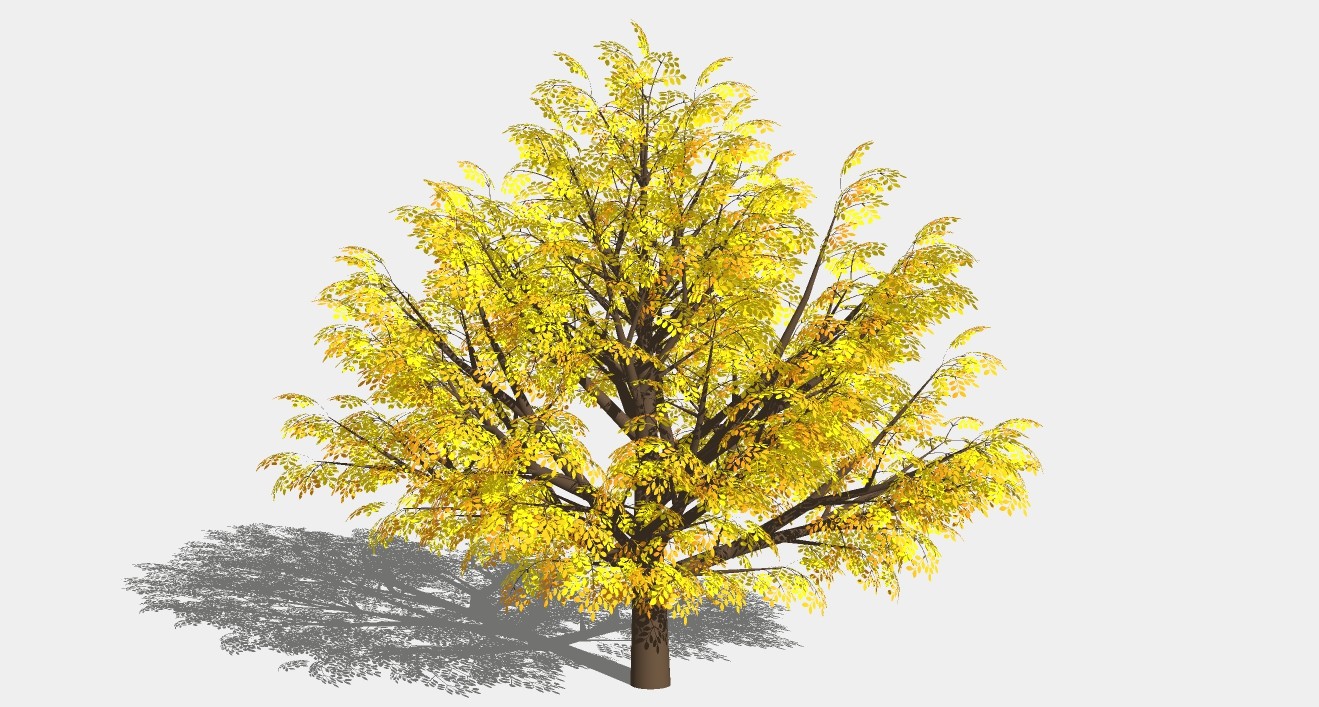 银杏树su模型3D树 (31).jpg(1)