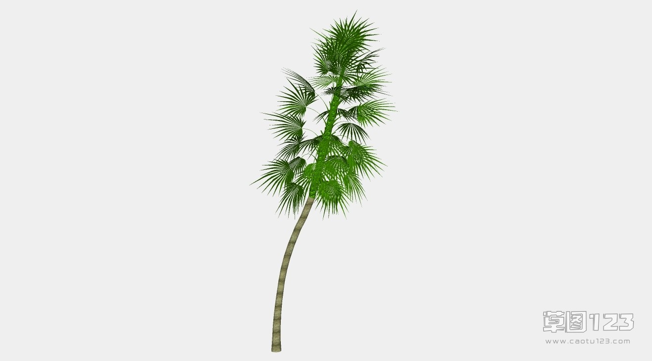 棕榈树su模型3D树 (64).jpg(1)