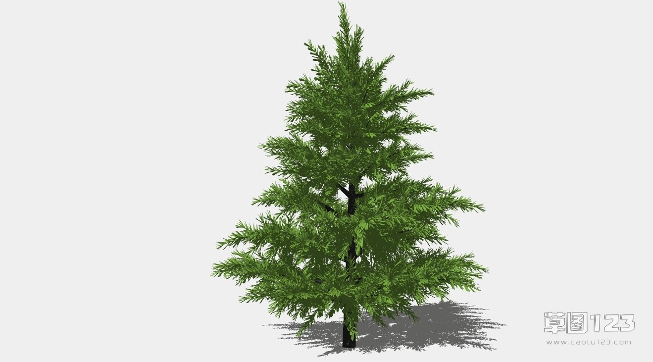 雪松树su模型3D树 (35).jpg(1)