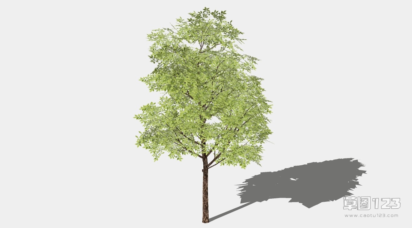 榆树su模型3D树 (94).jpg(1)