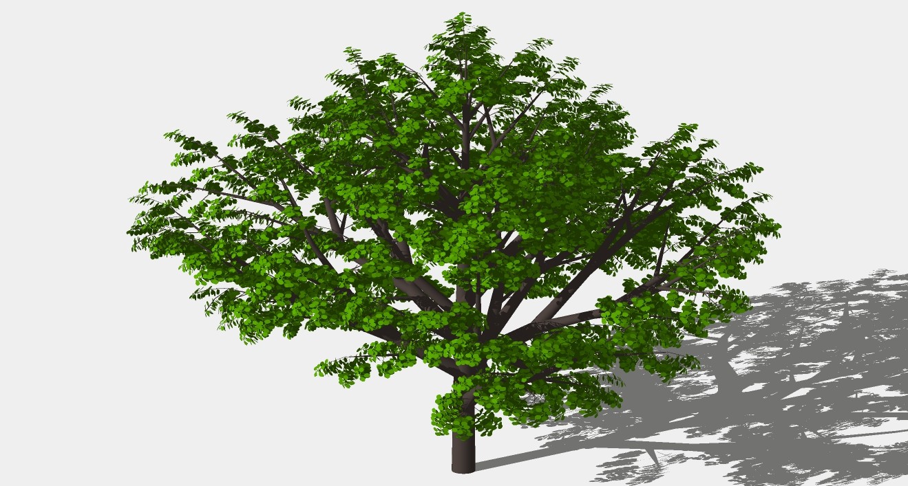 梧桐树su模型3D树 (33).jpg(1)