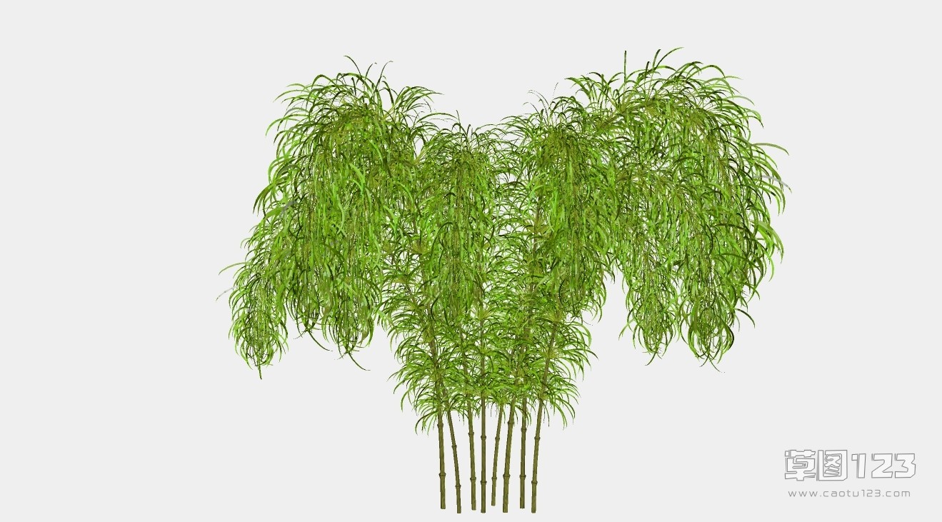 茂盛的绿竹su模型3D树 (25).jpg(1)