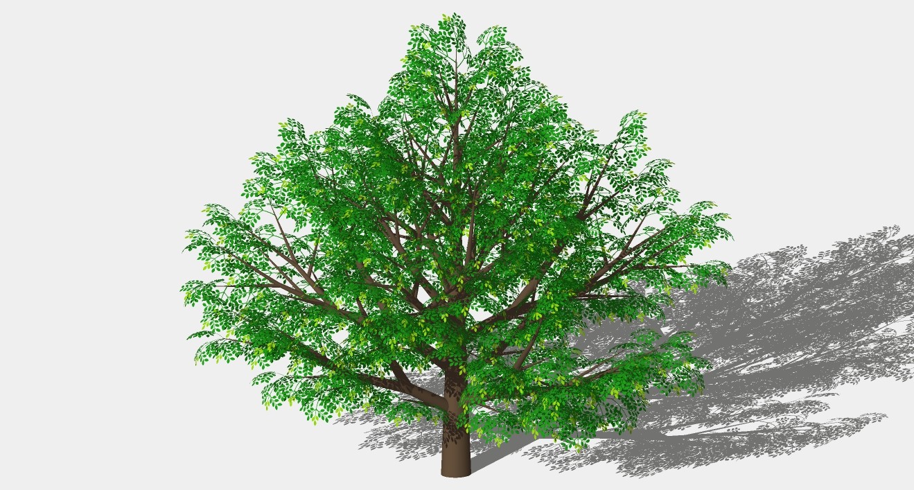 水杉树su模型3D树 (32).jpg(1)