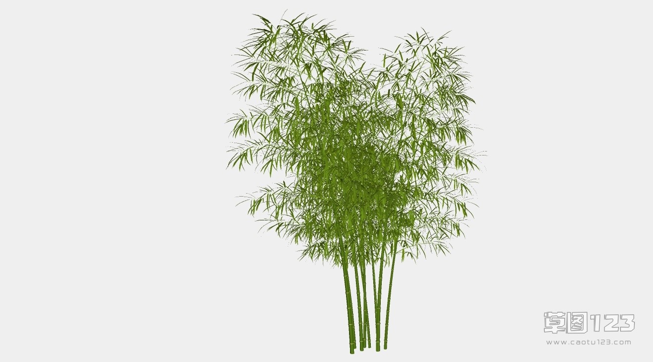 绿竹su模型3D树 (20).jpg(1)