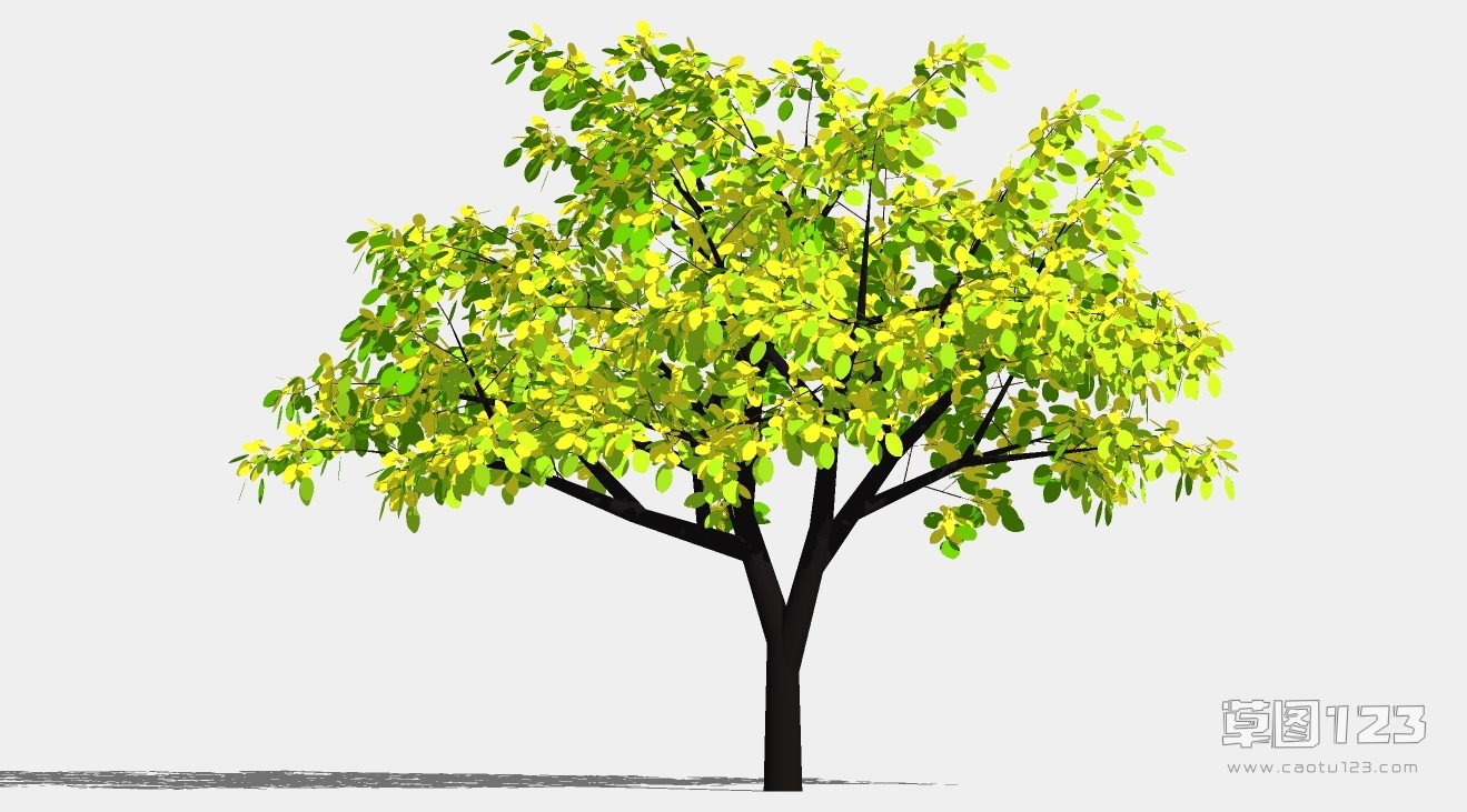 高山榕su模型3D树 (103).jpg(1)