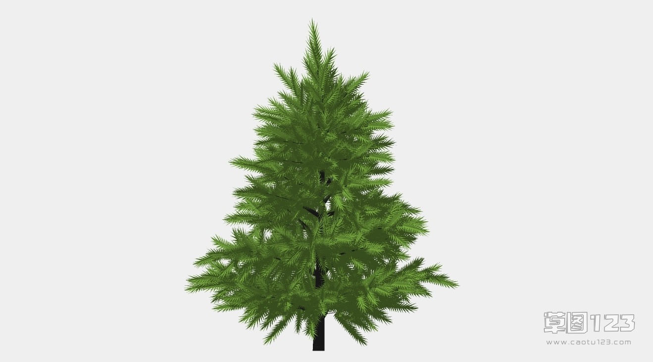长白松树su模型3D树 (36).jpg(1)