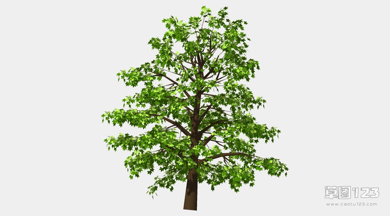 鹅掌楸树su模型3D树 (86).jpg(1)