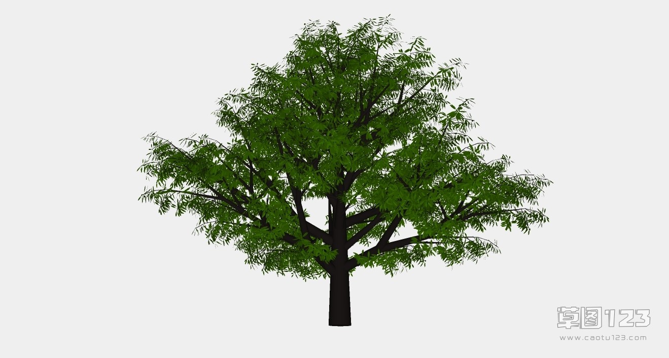 榕树su模型3D树 (48).jpg(1)