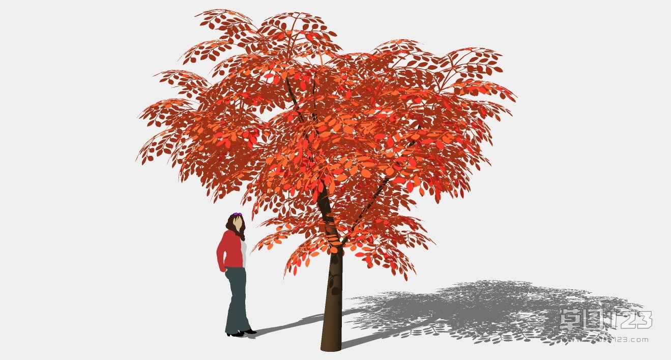 红枫树su模型3D树 (92).jpg(1)