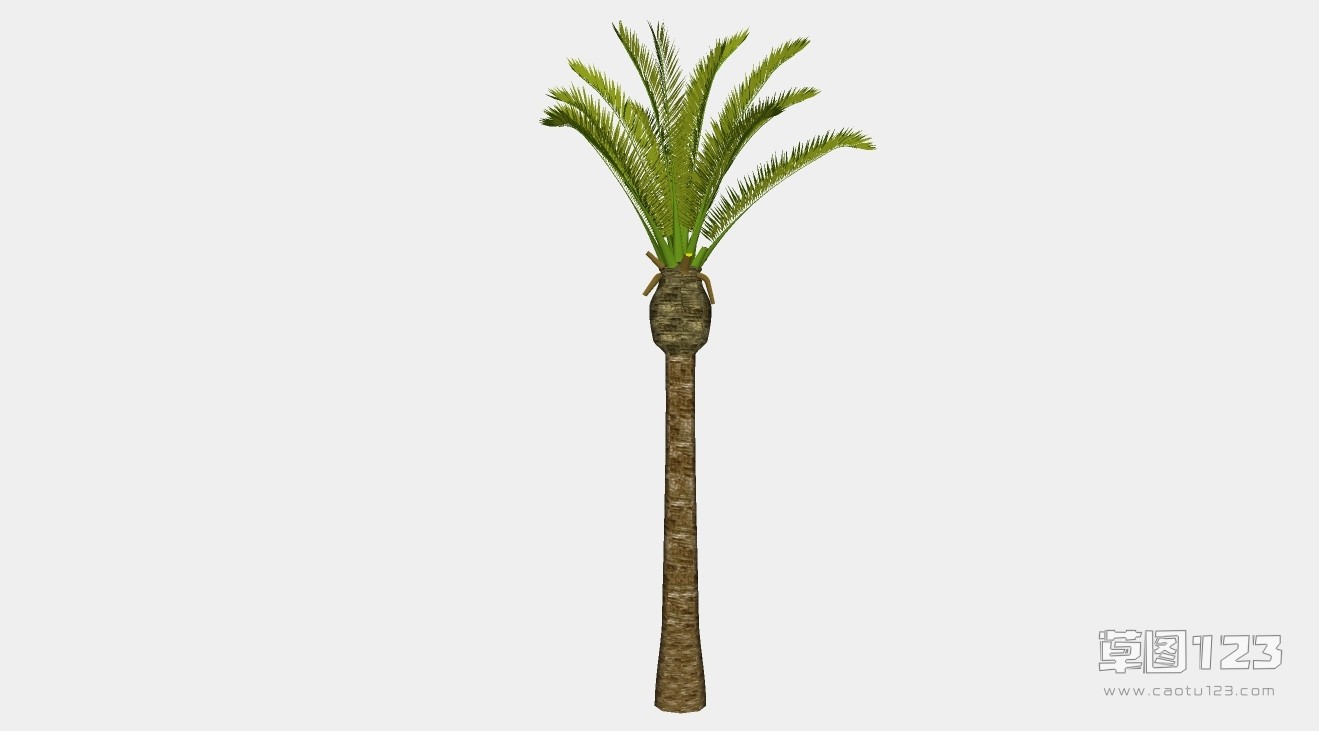 棕榈树su模型3D树 (67).jpg(1)
