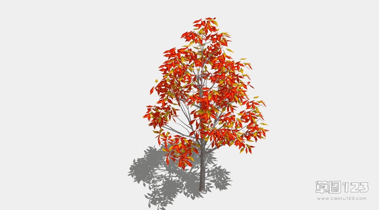 枫香树su模型3D树 (105).jpg(1)