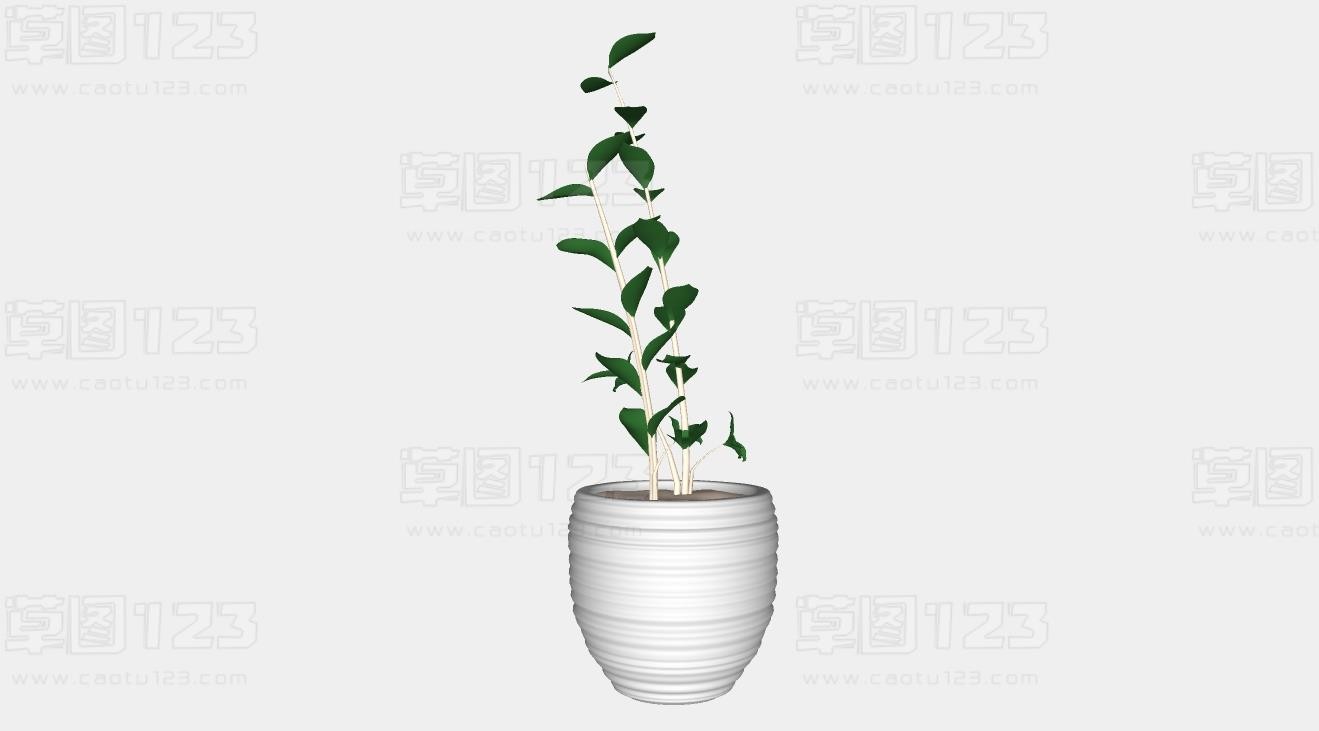 现代风格室内绿植摆件su模型盆栽植物_226 (2).jpg(1)