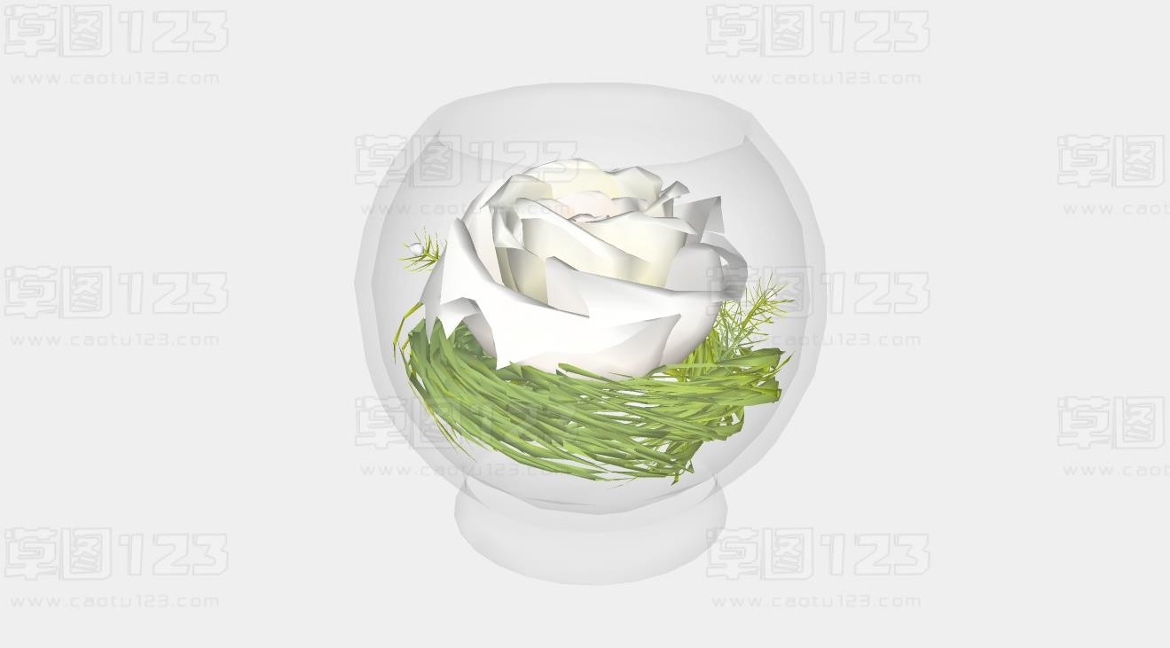 白色玫瑰花朵玻璃器皿su模型盆栽植物_222 (2).jpg(1)