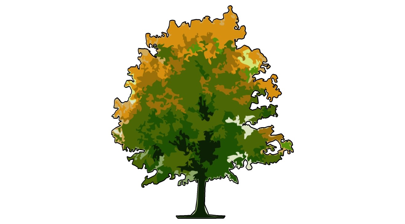 手绘风格2D大树SketchUp模型手绘树 (5).jpg(1)