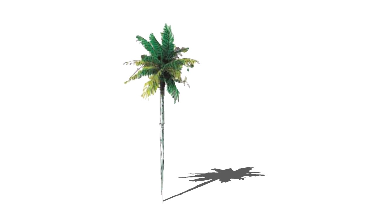 热带椰子树2Dsu模型手绘树 (32).jpg(1)
