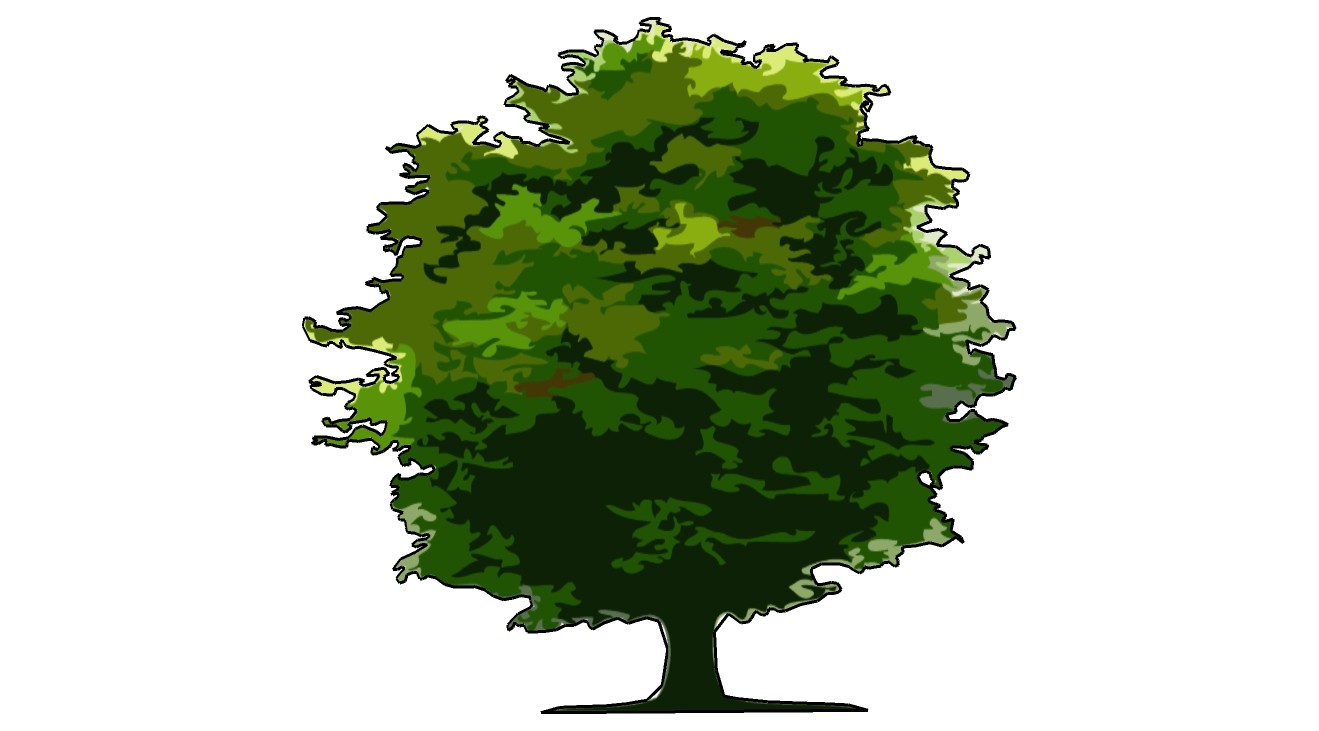 茂密的大树平面su模型手绘树 (25).jpg(1)