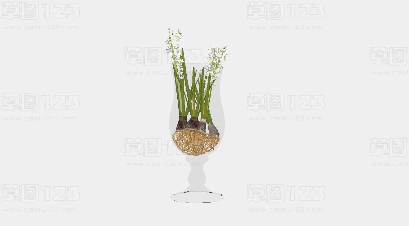 酒杯形玻璃花瓶风信子su模型盆栽植物_253 (2).jpg(1)