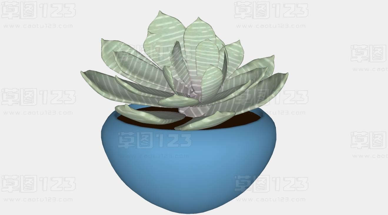 多肉植物su模型盆栽植物_232 (2).jpg(1)