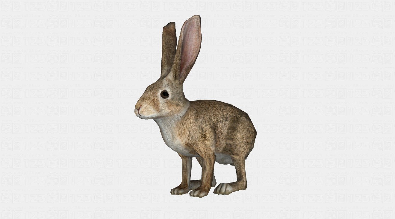 兔子su模型1.jpg(1)