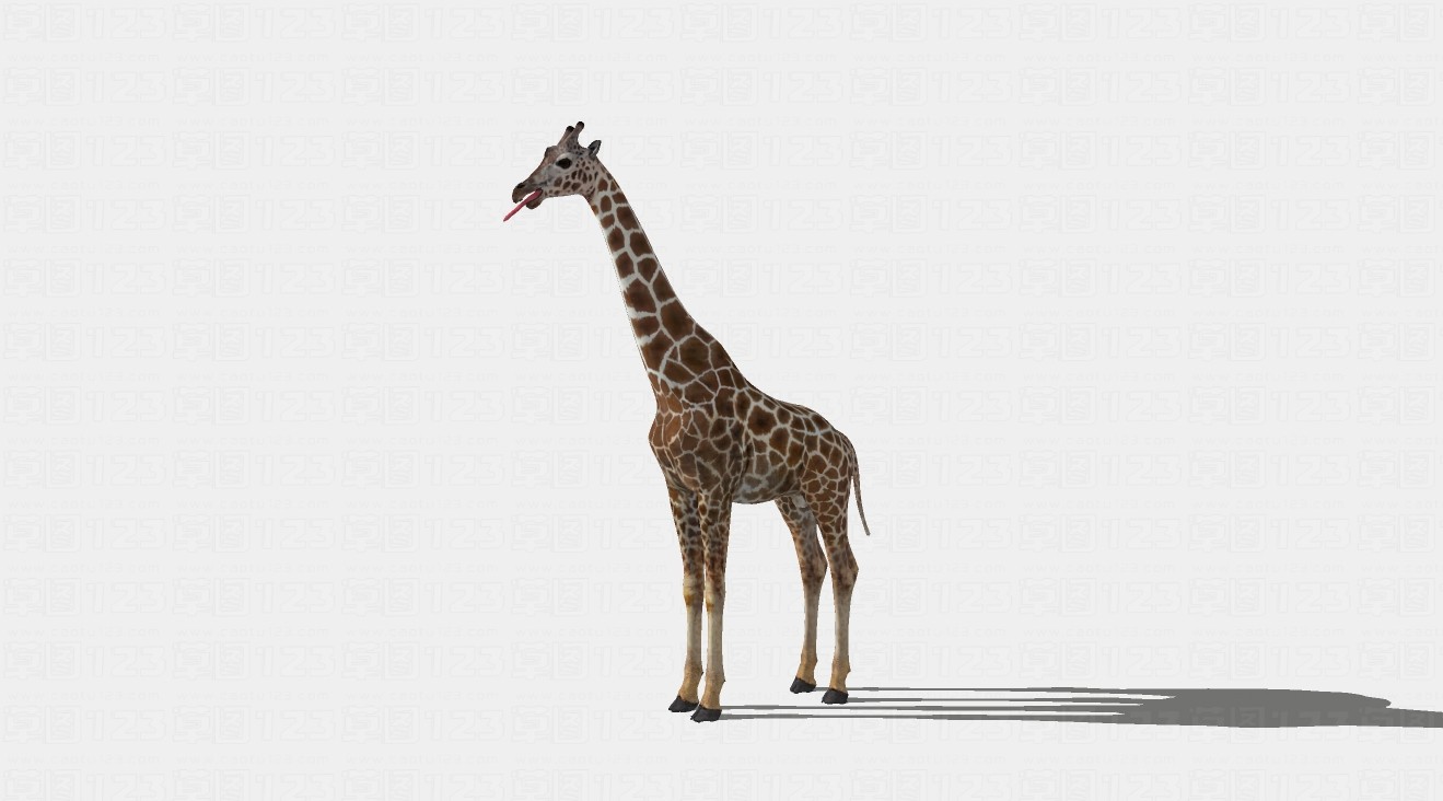 长颈鹿su模型1.jpg(1)