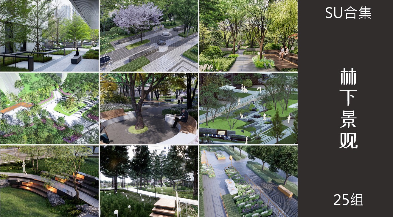 25组林下景观树林空间公园广场su模型12.jpg(2)
