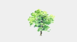2D平面树su模型