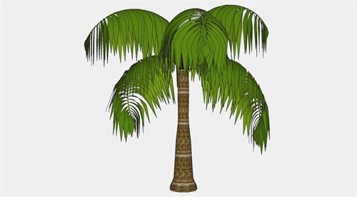 棕榈树su模型